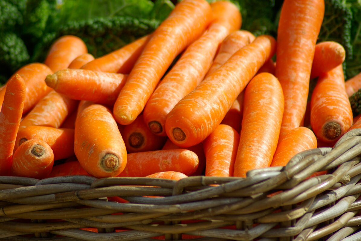 carrots-close-up-orange-37641